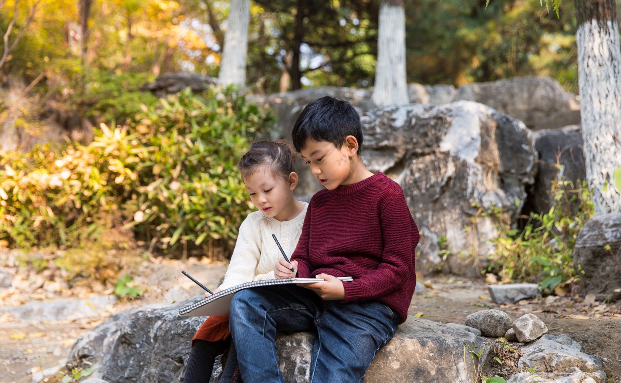 捡一袋子树叶，树叶贴画做起来，不花一分钱的早教课，效果惊艳