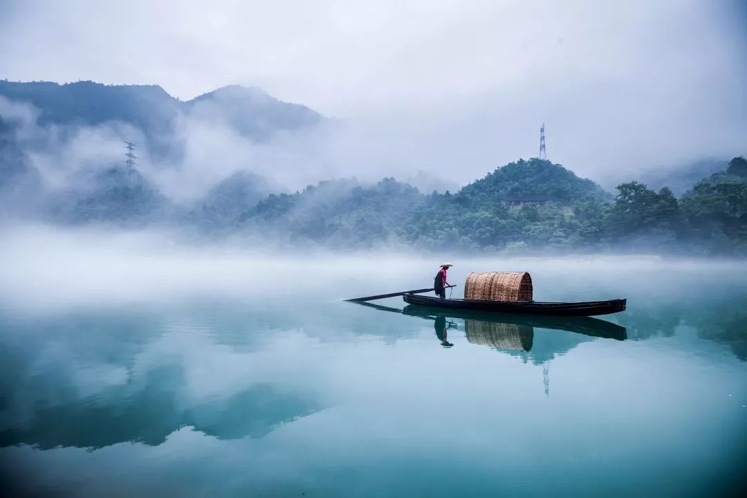 夜话｜课文中的经典：林中小溪