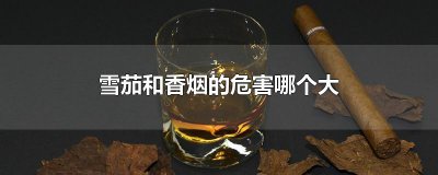 ​雪茄和香烟的危害哪个大