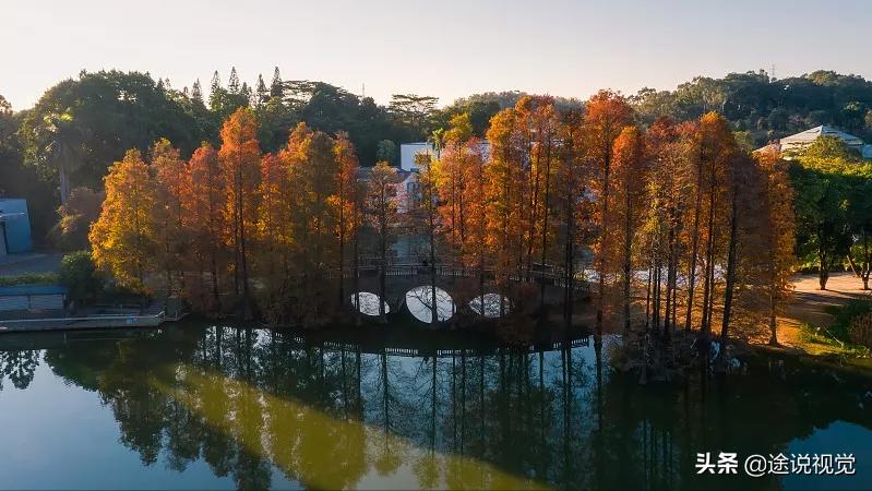 广州有哪些好玩的地方 广州旅游景点排行榜（广州旅游必去十大景点）(图10)