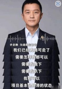 ​李亚鹏与哥哥因拒付投资收益 被强执 4000 万