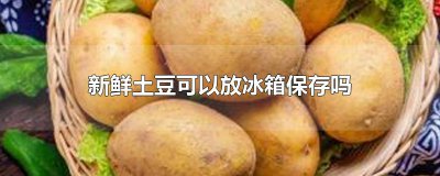 ​新鲜土豆可以放冰箱保存吗