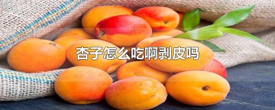 ​杏子怎么吃啊剥皮吗