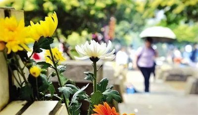 ​谷雨过后还能扫墓吗 谷雨节气之后可以扫墓吗