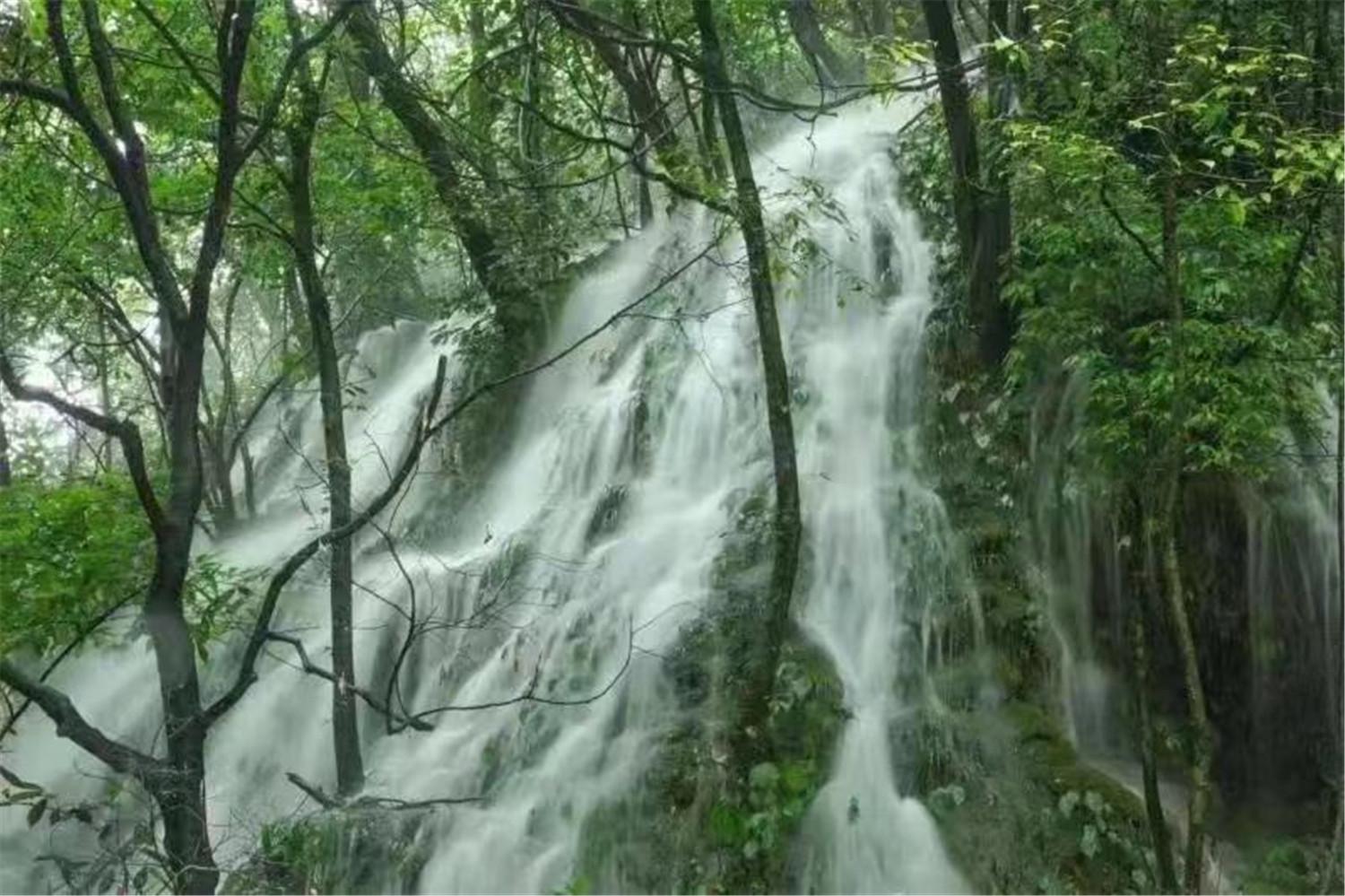 金佛山海拔高度（金佛山海拔最高多少米）(图4)