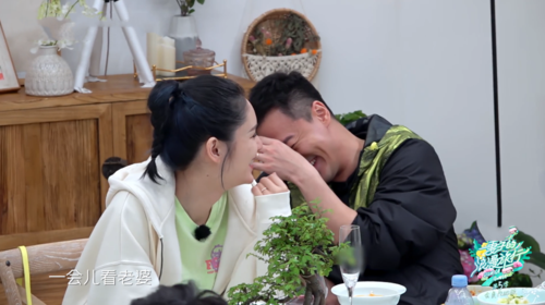 林峰的老婆，林峯老婆张馨月,本文共（4110字）