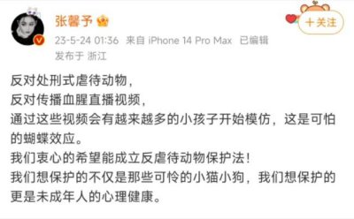 ​张馨予赵露思等为虐动物事件发声 个人信息被人肉