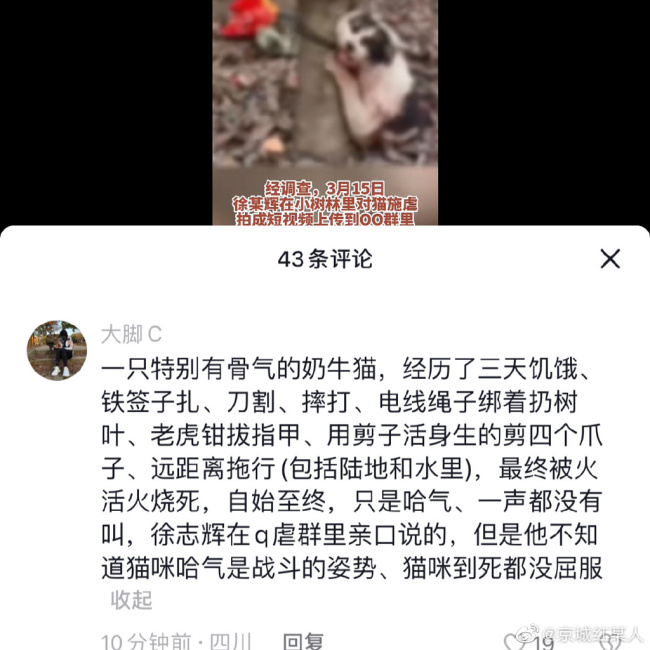 真的可怕！警方通报网红偷猫后在小树林虐杀