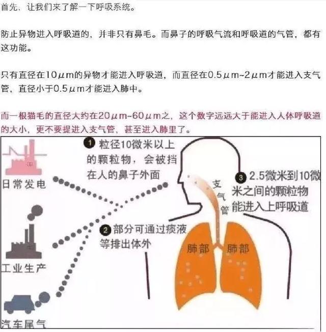 应采儿微博（请为你的无知道歉）