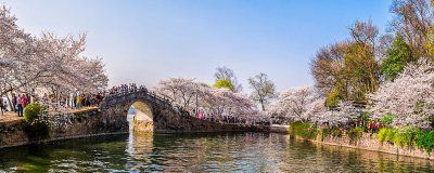 ​二月花朝是什么意思