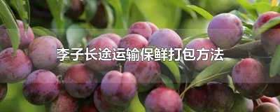 ​李子长途运输保鲜打包方法