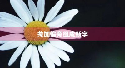 ​鎴嬪姞鍋忔梺缁勬垚鏂板瓧(瀛楀姞鍋忔梺鐨勫瓧鏈夊摢浜?