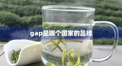 ​gap是哪个国家的品牌(gap卫衣一般多少钱)