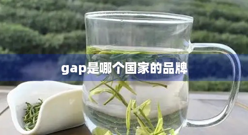 gap是运动鞋哪个国家牌子的品牌