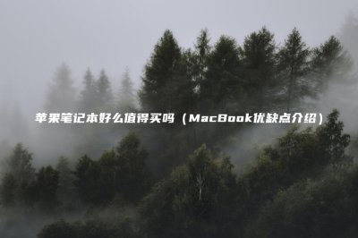 ​苹果笔记本好么值得买吗(MacBook优缺点介绍)