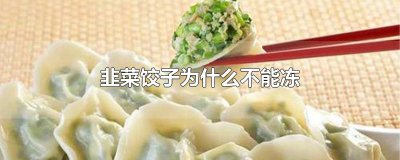 ​韭菜饺子为什么不能冻