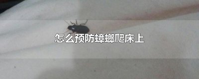 ​怎么预防蟑螂爬床上