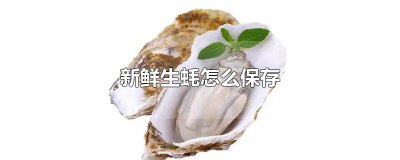 ​新鲜生蚝怎么保存