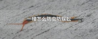 ​一楼怎么防虫防蜈蚣?