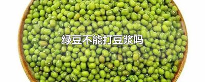 ​绿豆不能打豆浆吗