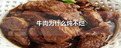 ​牛肉为什么炖不烂