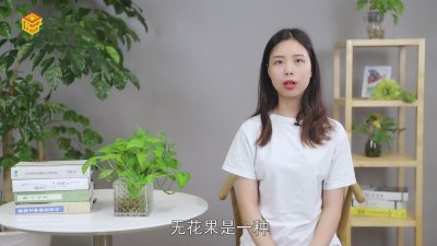 ​无花果怎么吃