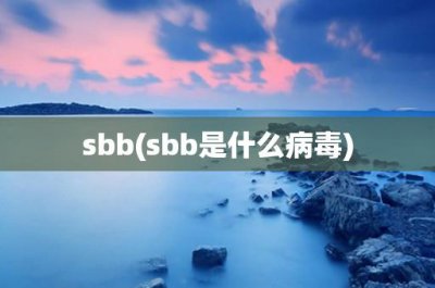 ​sbb(sbb是什么病毒)