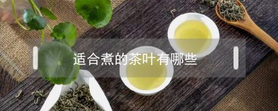 ​适合煮的茶叶有哪些