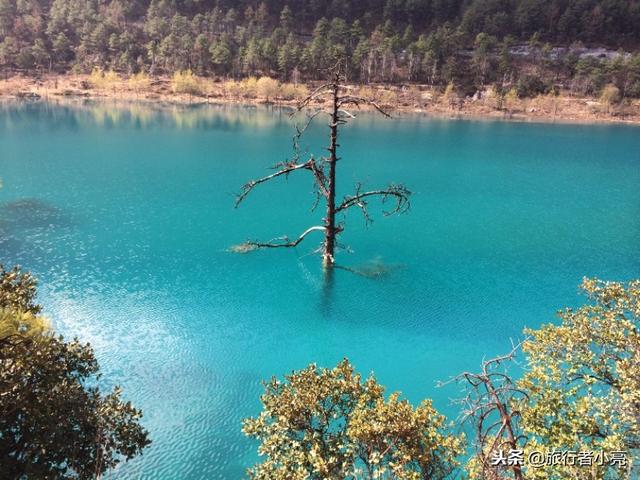 云南有哪些旅游景点排名前十的（云南最美景点排名）(19)