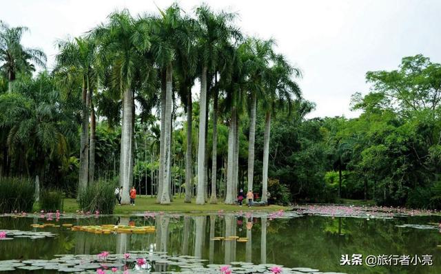 云南有哪些旅游景点排名前十的（云南最美景点排名）(41)