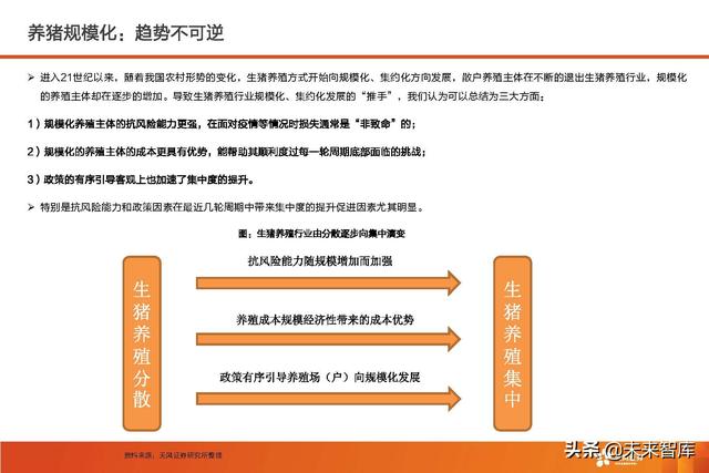 生猪养殖的市场前景和发展潜力（生猪养殖行业深度报告）(3)