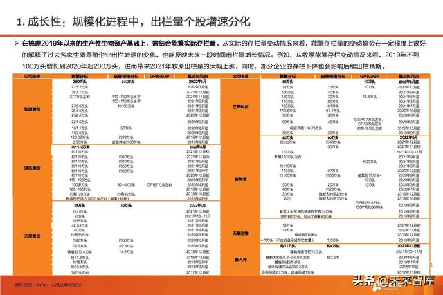 生猪养殖的市场前景和发展潜力（生猪养殖行业深度报告）(57)