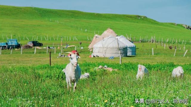 从伊犁出发独库公路旅游攻略（走独库公路游伊犁大环线赏霍城薰衣草）(27)