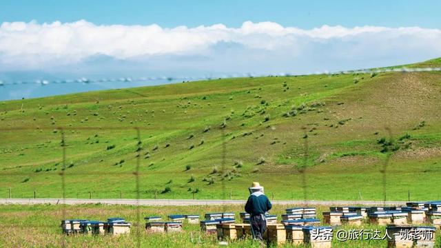 从伊犁出发独库公路旅游攻略（走独库公路游伊犁大环线赏霍城薰衣草）(39)