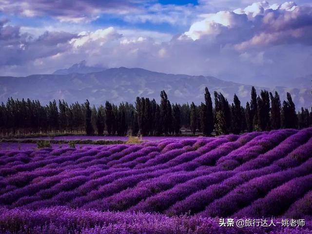 从伊犁出发独库公路旅游攻略（走独库公路游伊犁大环线赏霍城薰衣草）(5)