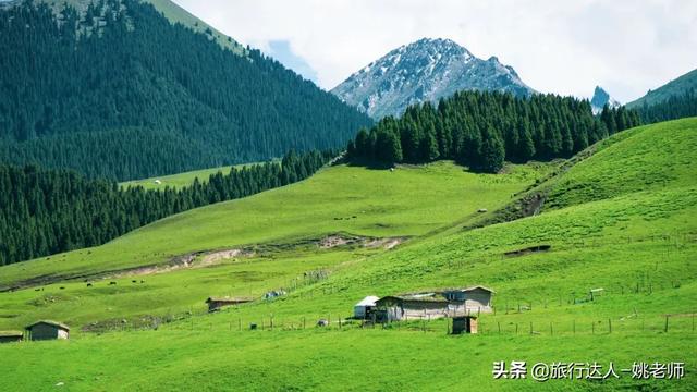 从伊犁出发独库公路旅游攻略（走独库公路游伊犁大环线赏霍城薰衣草）(43)