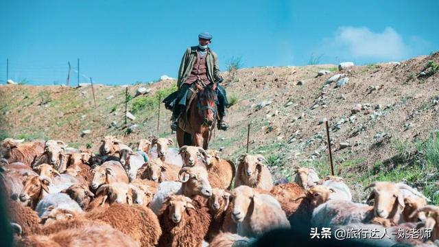 从伊犁出发独库公路旅游攻略（走独库公路游伊犁大环线赏霍城薰衣草）(22)