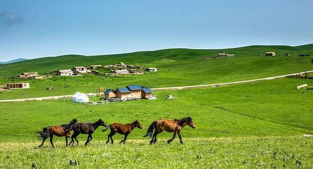 夏天适合去哪里旅游避暑的地方（适合初夏去的12个地方）(16)