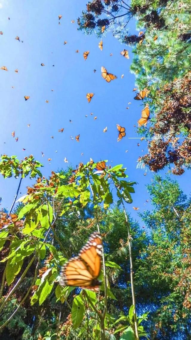 夏天适合去哪里旅游避暑的地方（适合初夏去的12个地方）(1)