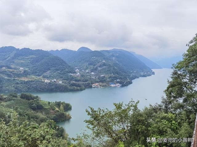 宜昌三峡旅游攻略自由行（宜昌三峡大坝三峡人家）(64)