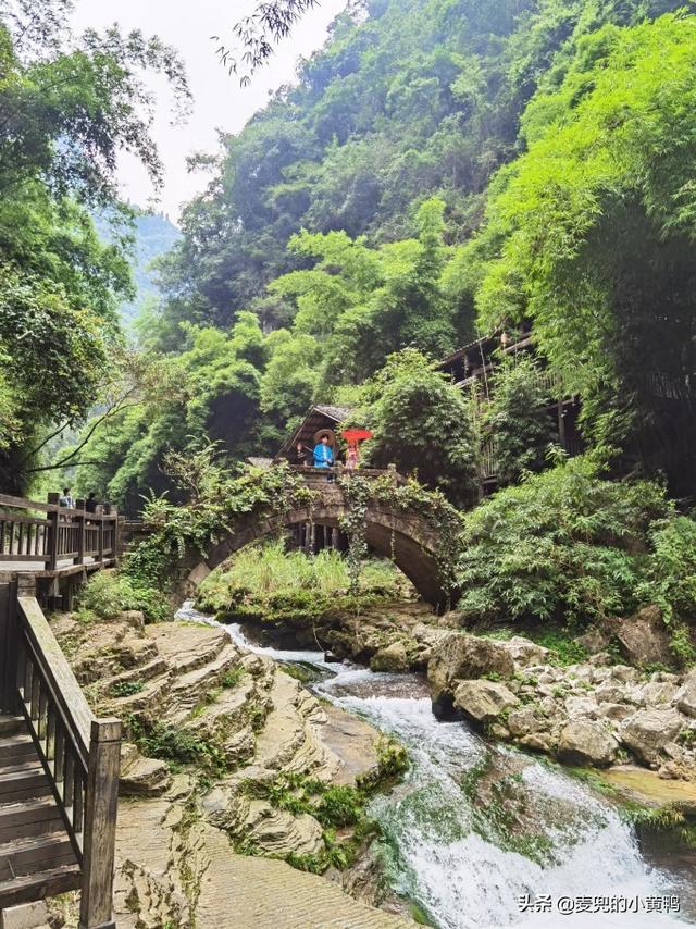 宜昌三峡旅游攻略自由行（宜昌三峡大坝三峡人家）(32)