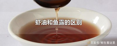 ​鱼露是什么东西（鱼露干嘛用的）