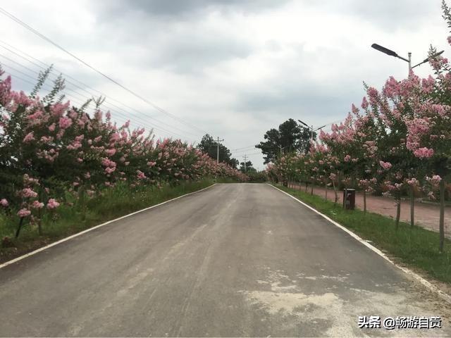 自贡旅游十大必去景点（畅游自贡之西蜀名山）(3)