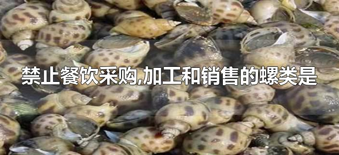 禁止餐饮采购,加工和销售的螺类是