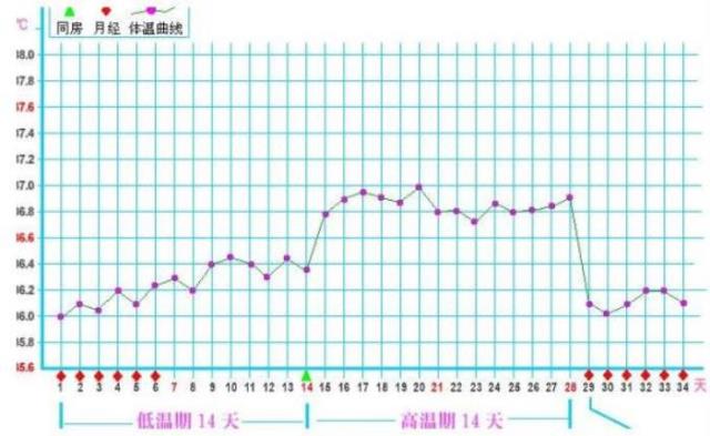 女性安全期计算方法（怎样才能知道女性的安全期）(2)