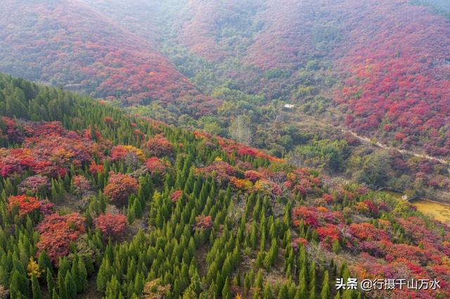 济南白云湖自驾游（捎近村自驾游攻略）(25)