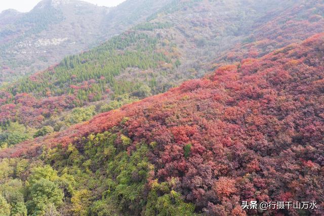 济南白云湖自驾游（捎近村自驾游攻略）(21)