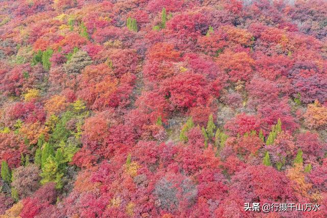 济南白云湖自驾游（捎近村自驾游攻略）(24)