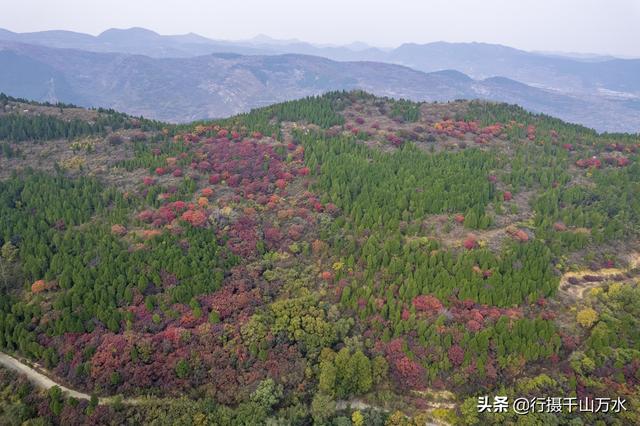 济南白云湖自驾游（捎近村自驾游攻略）(17)