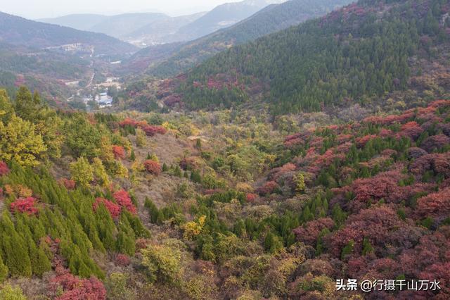 济南白云湖自驾游（捎近村自驾游攻略）(20)